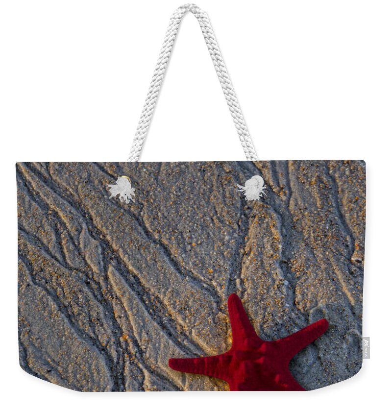 Sea Weekender Tote Bag featuring the photograph Starfish In The Sand by Susan Candelario