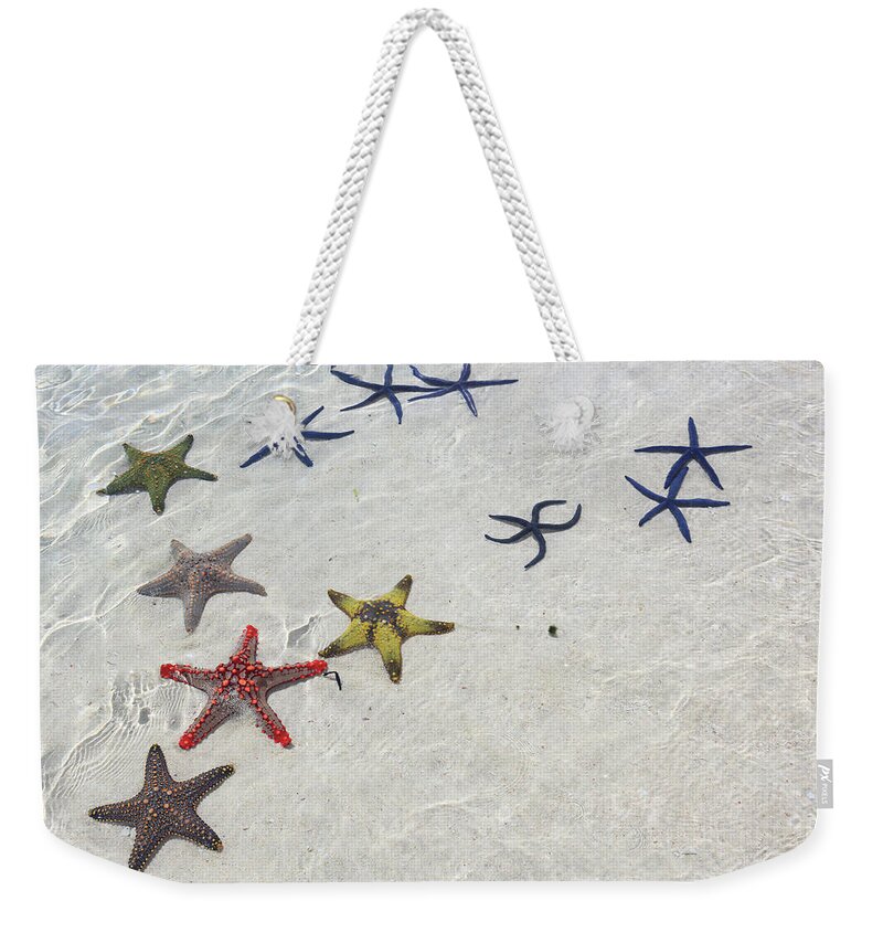 Tanzania Weekender Tote Bag featuring the photograph Starfish, Zanzibar by Vincenzo Lombardo
