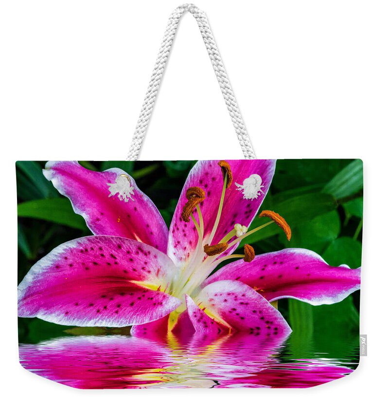 Bolton Weekender Tote Bag featuring the photograph Stargazer Oriental Lily 2 by Steve Harrington