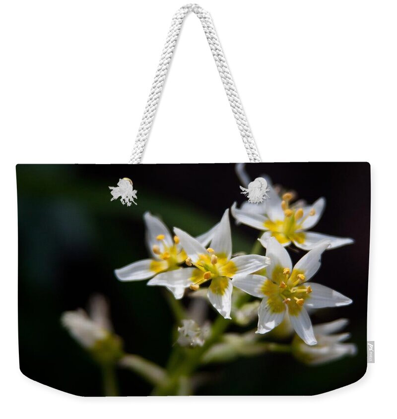 Wildflowers Weekender Tote Bag featuring the photograph Stargazing by Vanessa Thomas