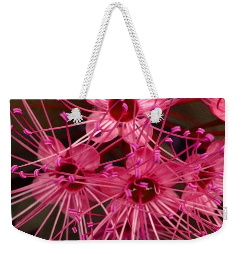 Flower Weekender Tote Bag featuring the photograph Stars by Michelle Meenawong