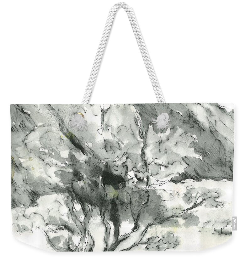 Mountains Weekender Tote Bag featuring the painting Graceful Smoketree by Maria Hunt