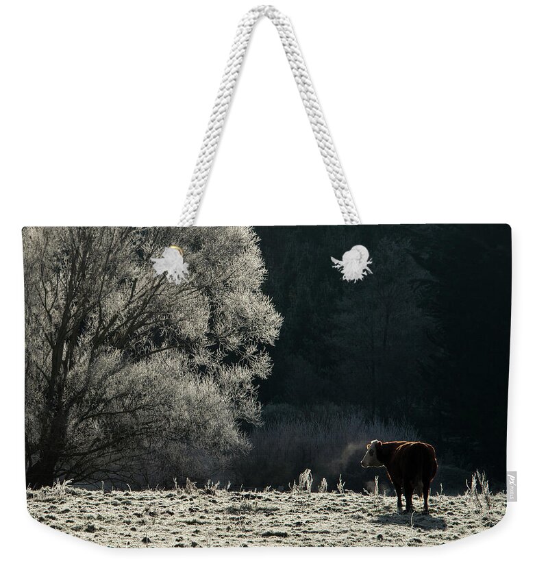 Tranquility Weekender Tote Bag featuring the photograph Steaming by Nzpix