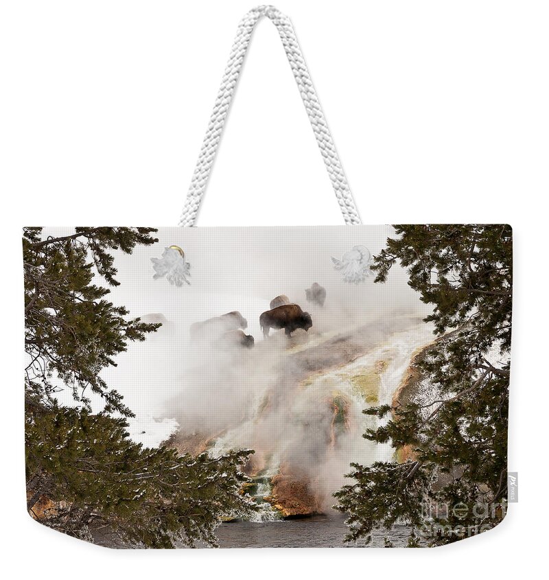 Bison Weekender Tote Bag featuring the photograph Steamy Bison by Sue Smith