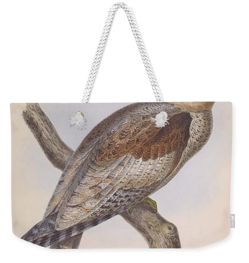 Audubon Weekender Tote Bag featuring the painting Steatorninae Owl by Philip Ralley