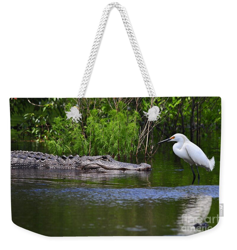 American Alligator Weekender Tote Bag featuring the photograph Steely Snowy by Al Powell Photography USA