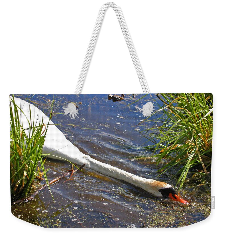 Swan Weekender Tote Bag featuring the photograph Sticking His Neck Out by Ann Horn