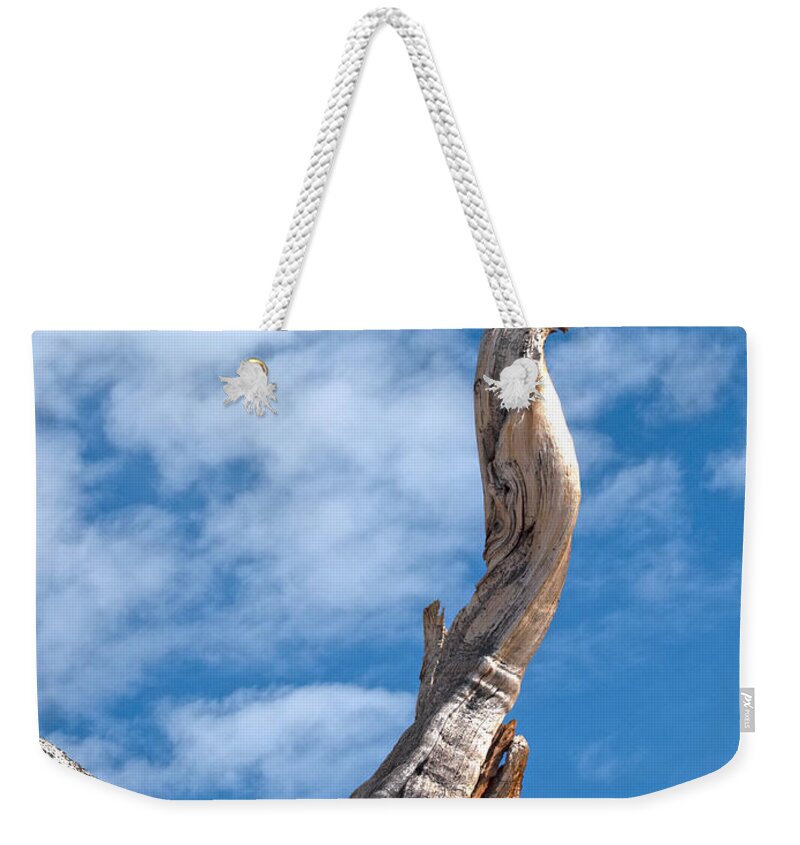 Olmsted Point Weekender Tote Bag featuring the photograph Still Standing #2 by Joe Schofield