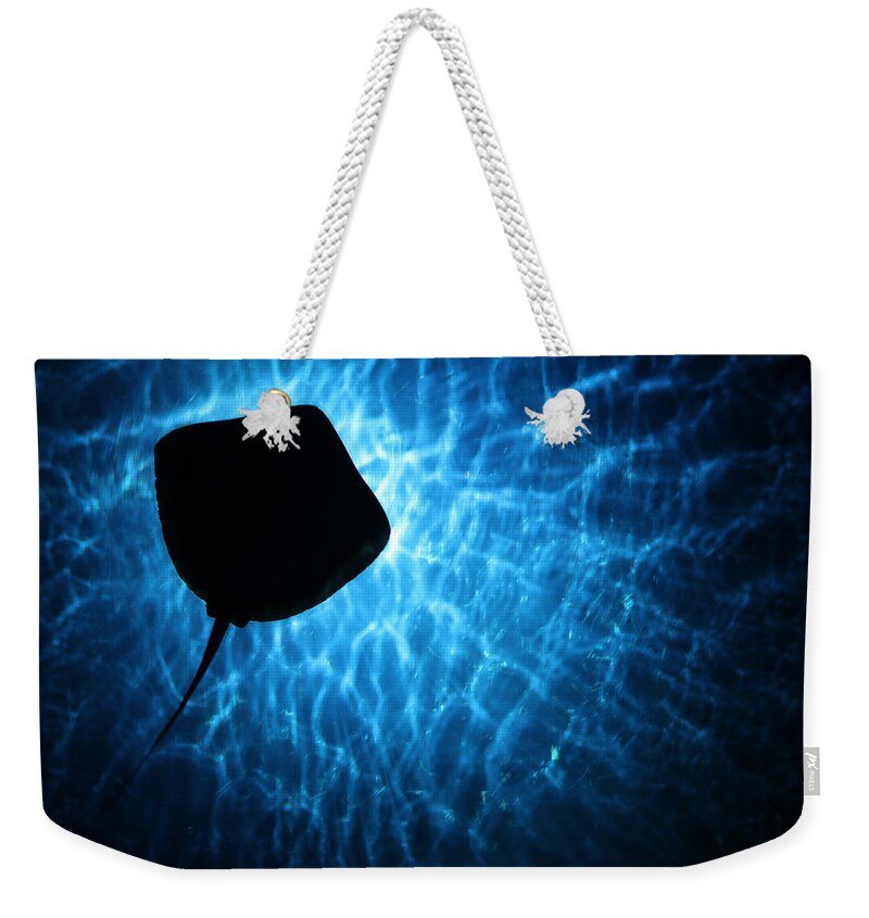 Stingray Weekender Tote Bag featuring the photograph Stingray Silhouette by Donna Corless