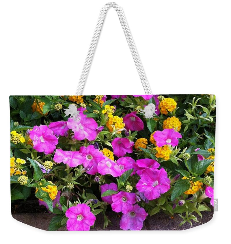 Flowers Weekender Tote Bag featuring the photograph Stop And Smell The Flowers by Matthew Seufer