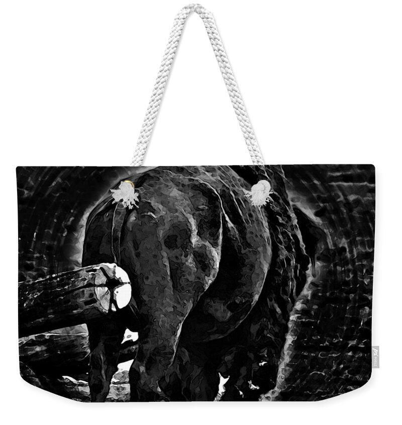 Bison Weekender Tote Bag featuring the photograph Strength Of One by Miroslava Jurcik