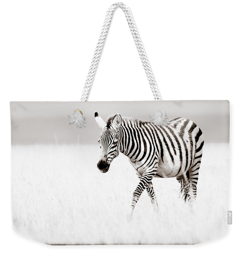Africa Weekender Tote Bag featuring the photograph Stripes On The Move by Mike Gaudaur