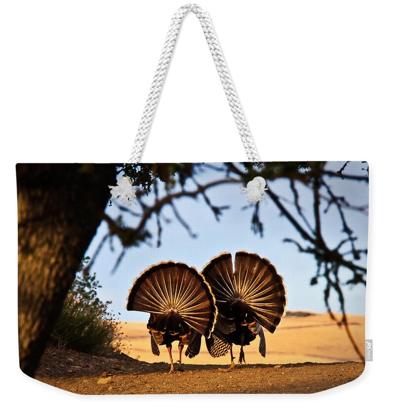 Male Weekender Tote Bag featuring the photograph Strutten Their Stuff by Beth Sargent