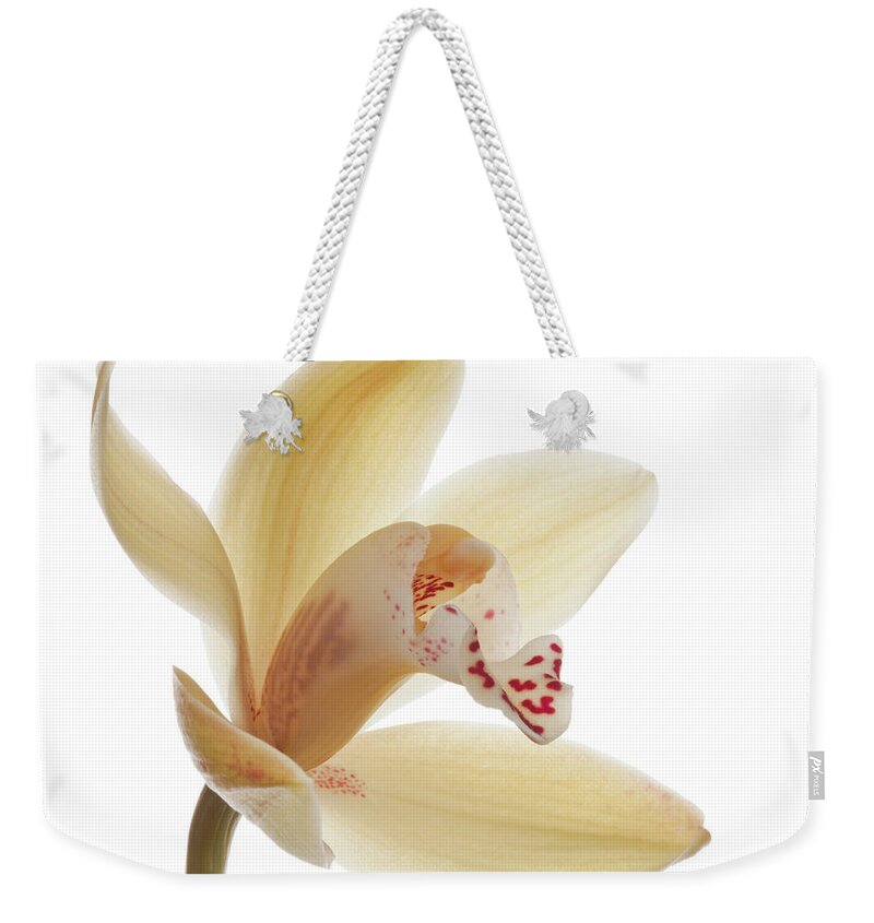 White Background Weekender Tote Bag featuring the photograph Studio Shot Of Single Bloom Of by Margaret Rowe