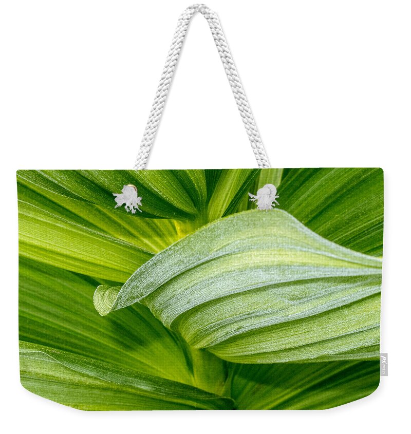 Crane Flat Weekender Tote Bag featuring the photograph Study in Green by Susan Eileen Evans