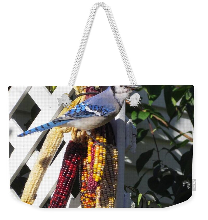 Blue Jay Weekender Tote Bag featuring the photograph Stunning by Elizabeth Dow