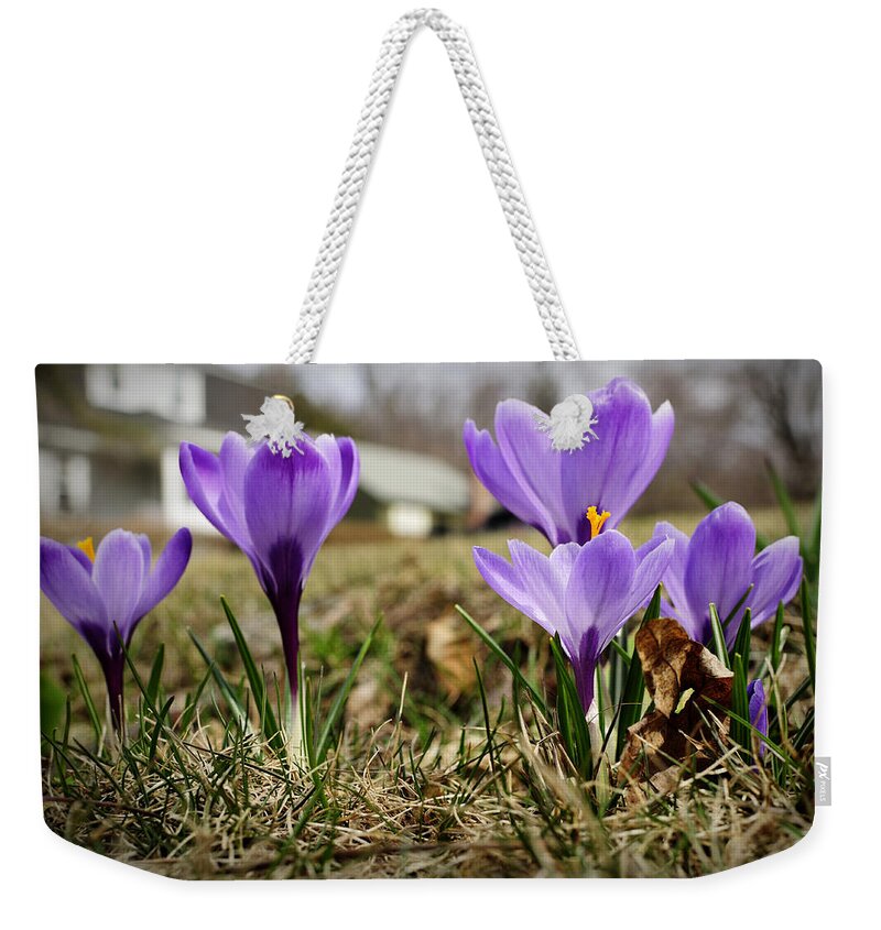 Spring Weekender Tote Bag featuring the photograph Suburban Spring by Luke Moore