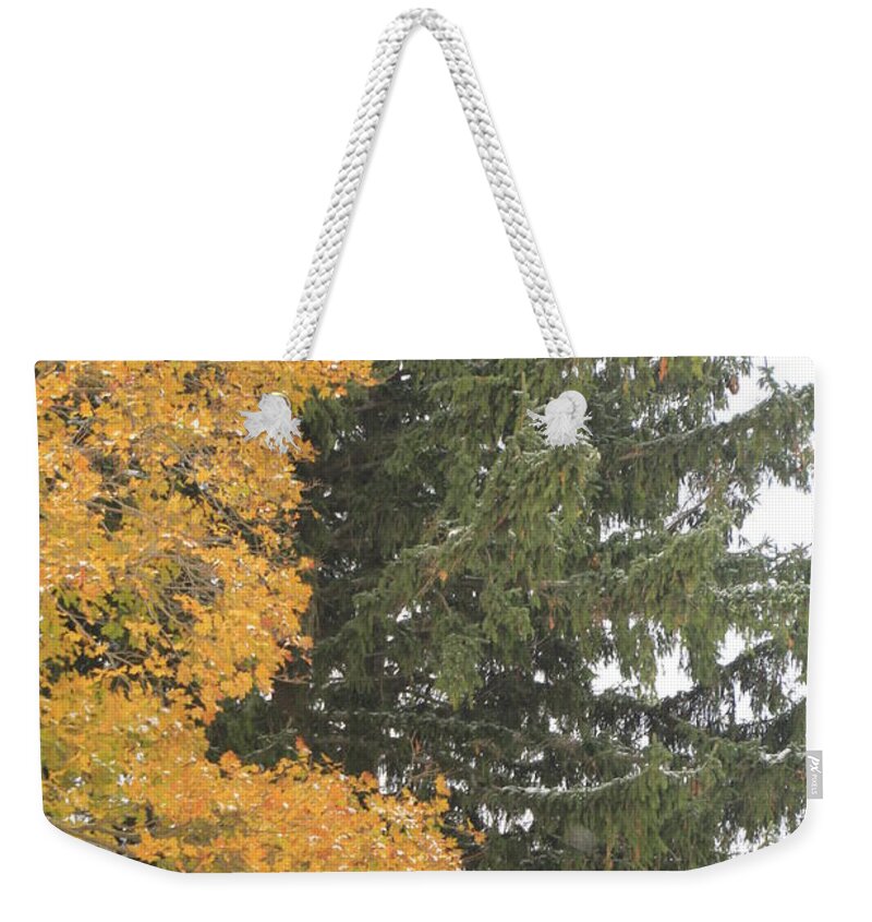 Christmas Tree Weekender Tote Bag featuring the photograph Sugar Maple and Evergreen by Valerie Collins