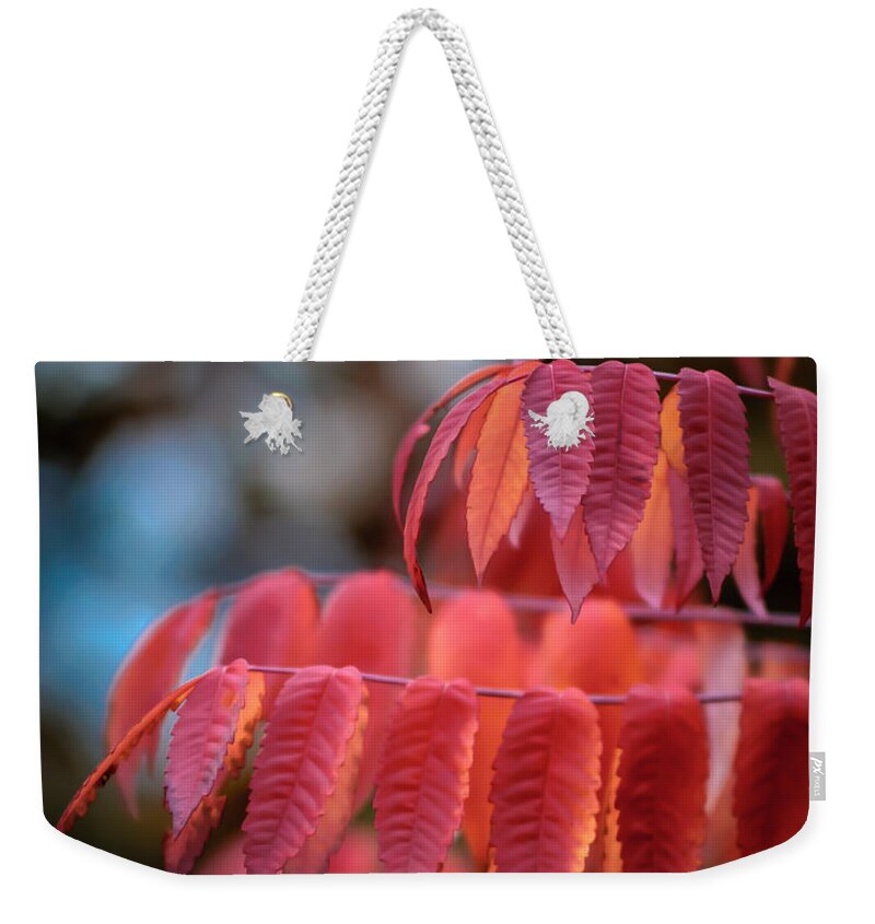 Sumac Weekender Tote Bag featuring the photograph Sumac Glow by James Barber