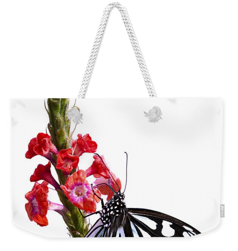 Butterfly Weekender Tote Bag featuring the photograph Delicate Beauty by Patty Colabuono