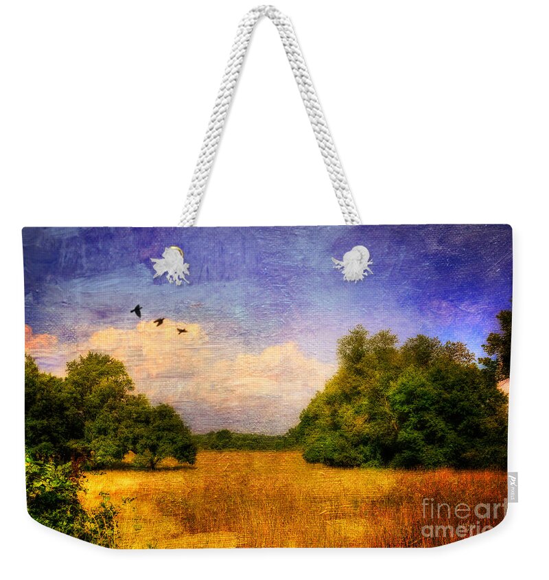 Landscape Weekender Tote Bag featuring the photograph Summer Country Landscape by Lois Bryan