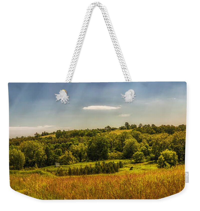 Landscape Weekender Tote Bag featuring the photograph Summer countryside by Elena Elisseeva
