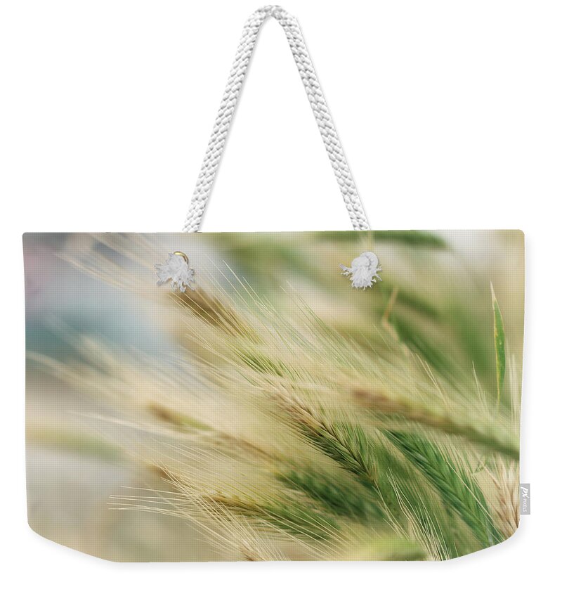 Grass Weekender Tote Bag featuring the photograph Summer Darts by Kathy Medcalf Photography