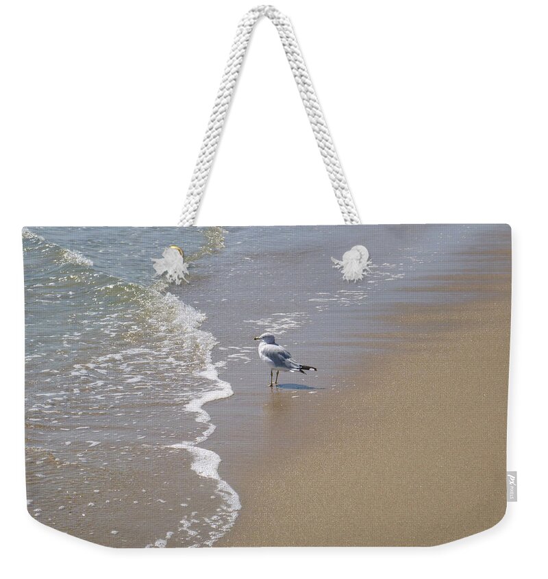 Seagull Weekender Tote Bag featuring the photograph Summer day of a gull 2 by Ellen Paull