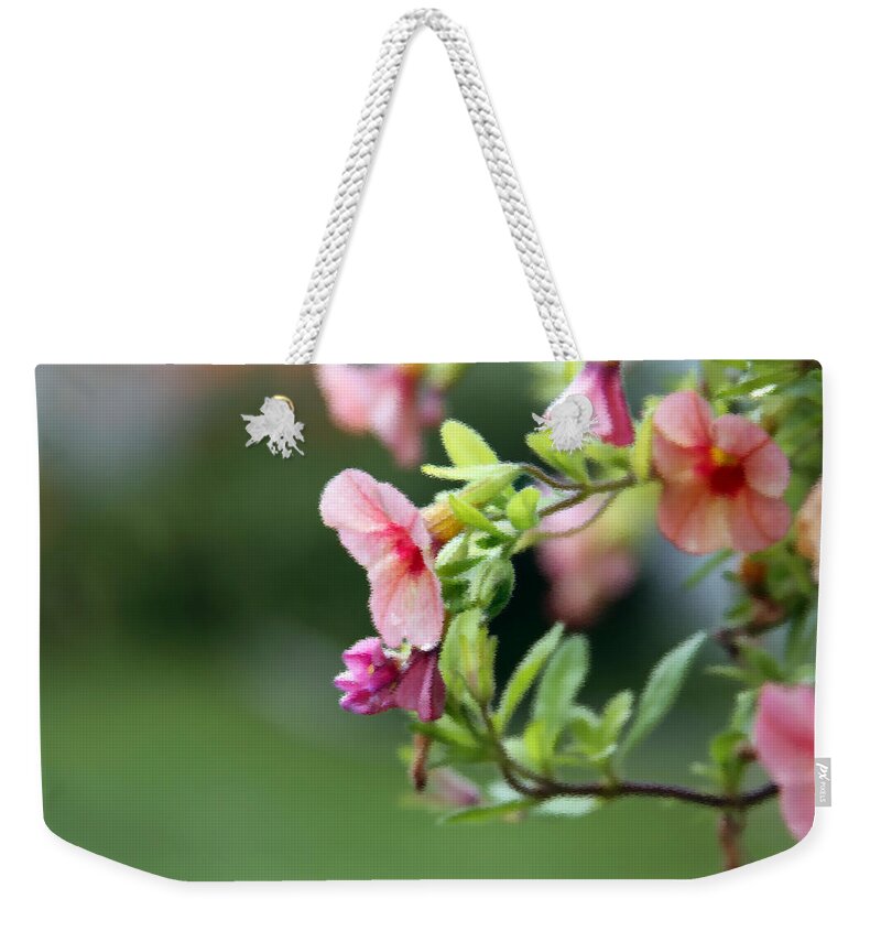 Flowers Weekender Tote Bag featuring the photograph Summer Flowers by Jackson Pearson