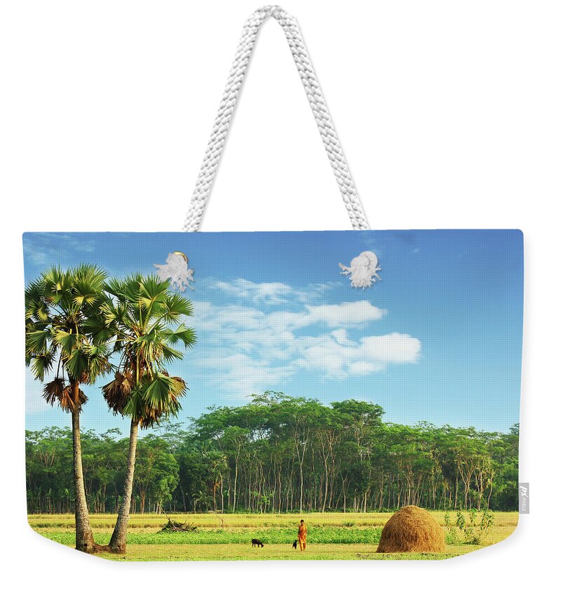 Tropical Tree Weekender Tote Bag featuring the photograph Summer Landscape by Romio Hasan