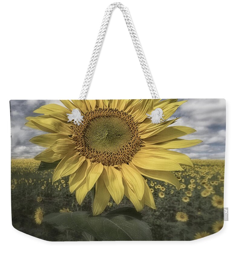 Flowers Weekender Tote Bag featuring the photograph Summer Sun by Robert Fawcett