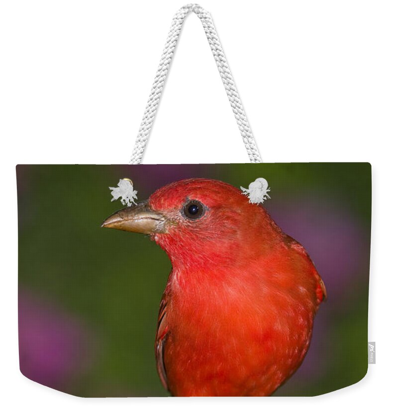 Feb0514 Weekender Tote Bag featuring the photograph Summer Tanager Male Texas by Tom Vezo