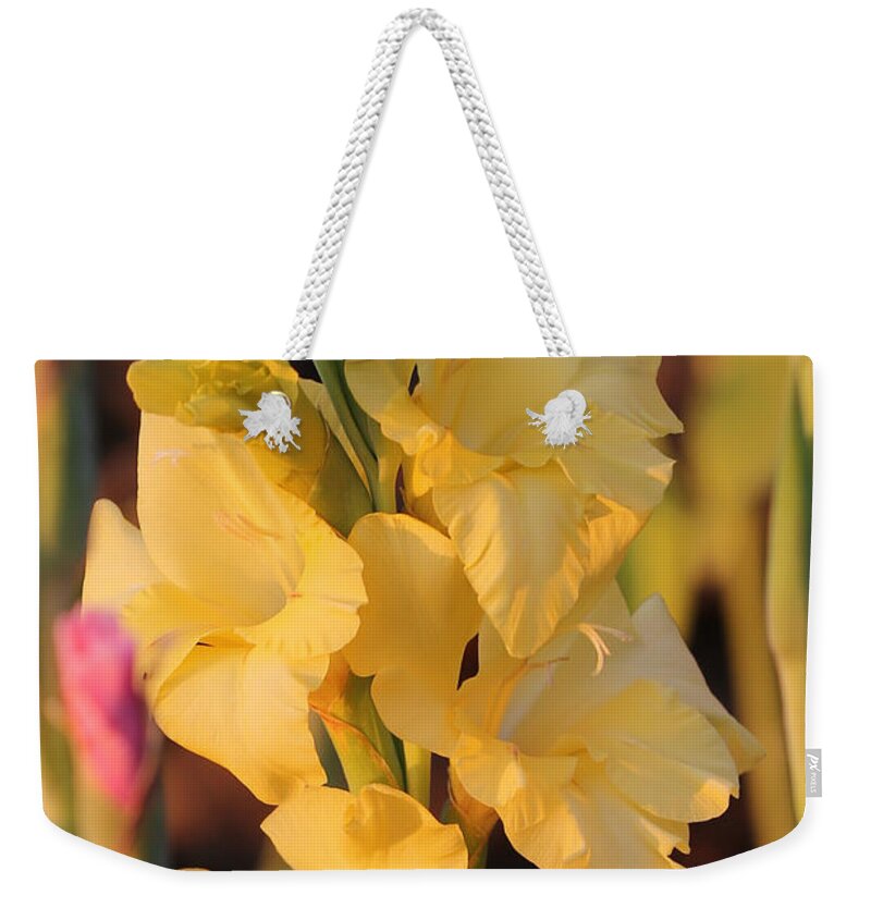 Yellow Gladiolus Weekender Tote Bag featuring the photograph Summer Yellow Gladiolus by Carol Groenen