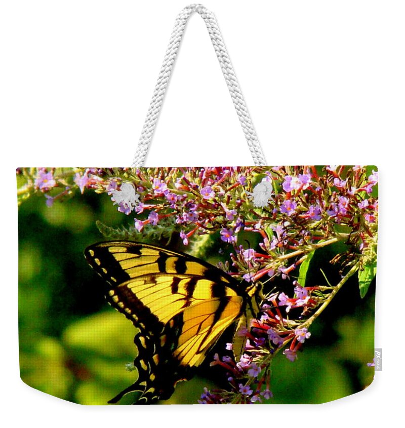 Fine Art Weekender Tote Bag featuring the photograph Summers End by Rodney Lee Williams
