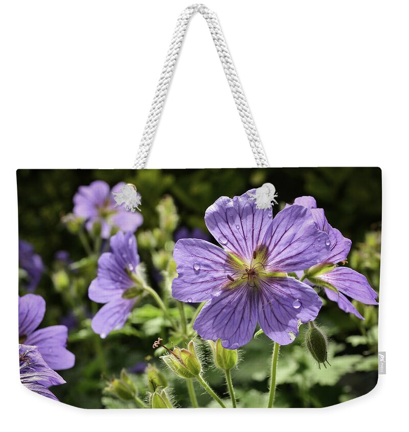 Nature Weekender Tote Bag featuring the photograph Sun bathed Geranium by Spikey Mouse Photography