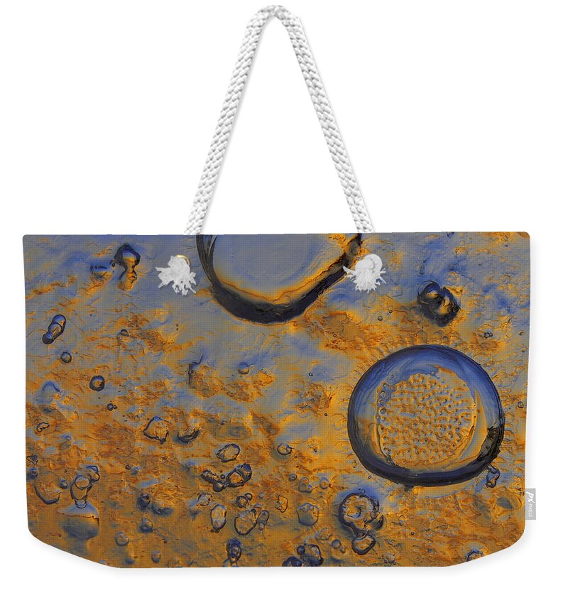 Sunny Weekender Tote Bag featuring the photograph Sun Catcher by Sami Tiainen