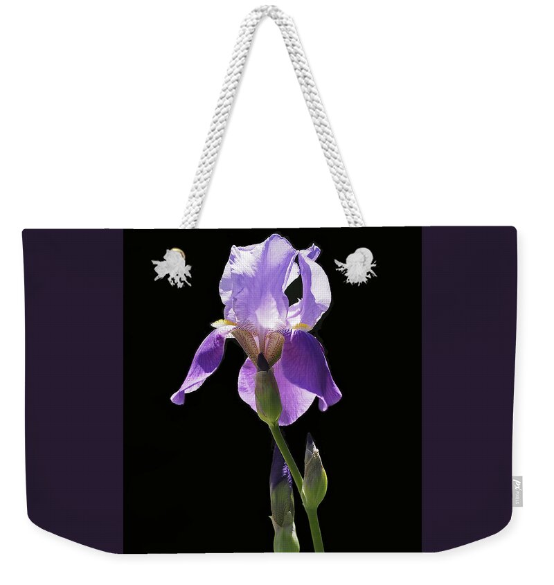Iris Weekender Tote Bag featuring the photograph Sun-drenched Iris by Rona Black