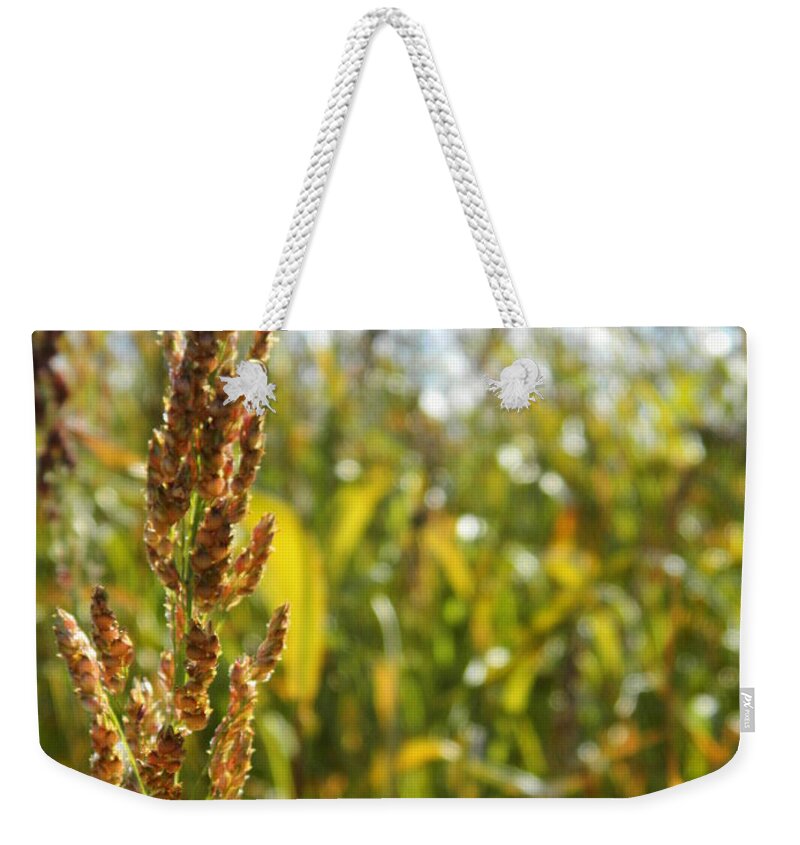 Healthy Weekender Tote Bag featuring the photograph Sun of life by Andrea Anderegg