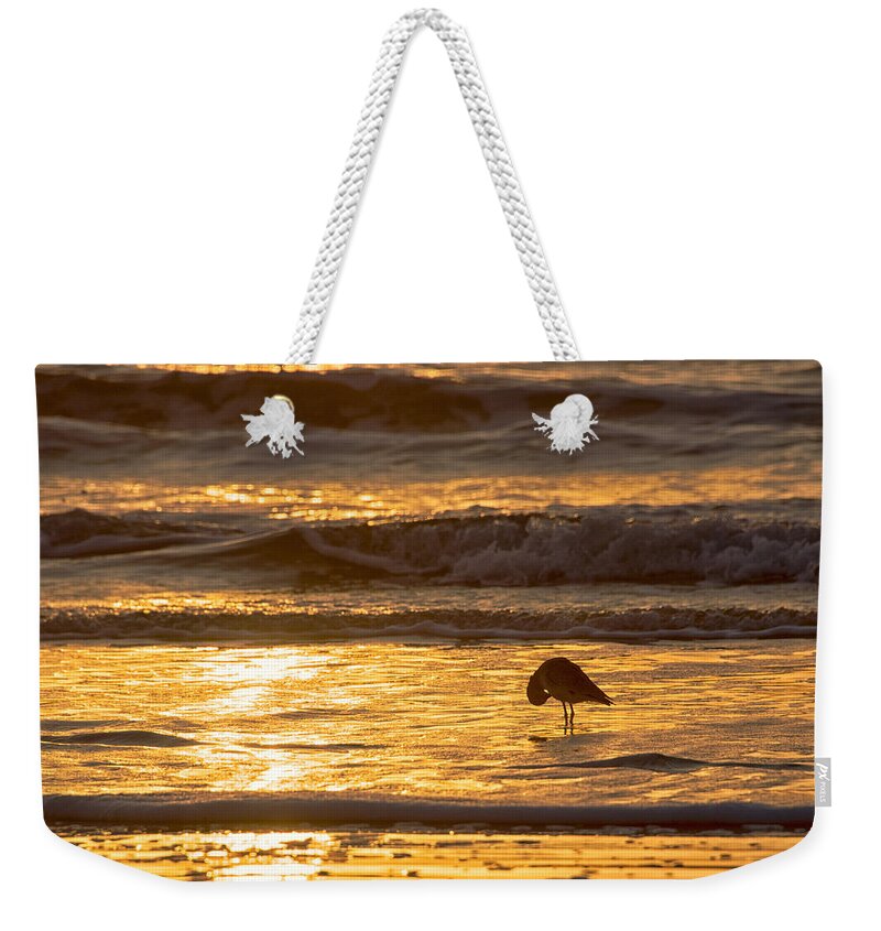 Bird Weekender Tote Bag featuring the photograph Sun Salutation by Mary Lee Dereske