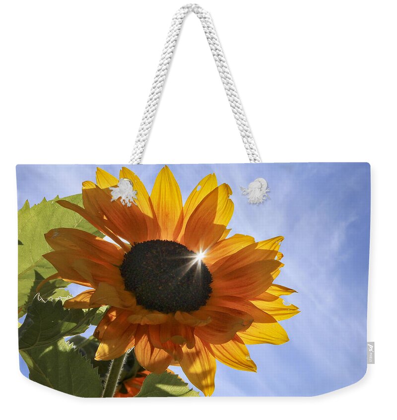 Maine Weekender Tote Bag featuring the photograph Sun Sparkle by Karin Pinkham