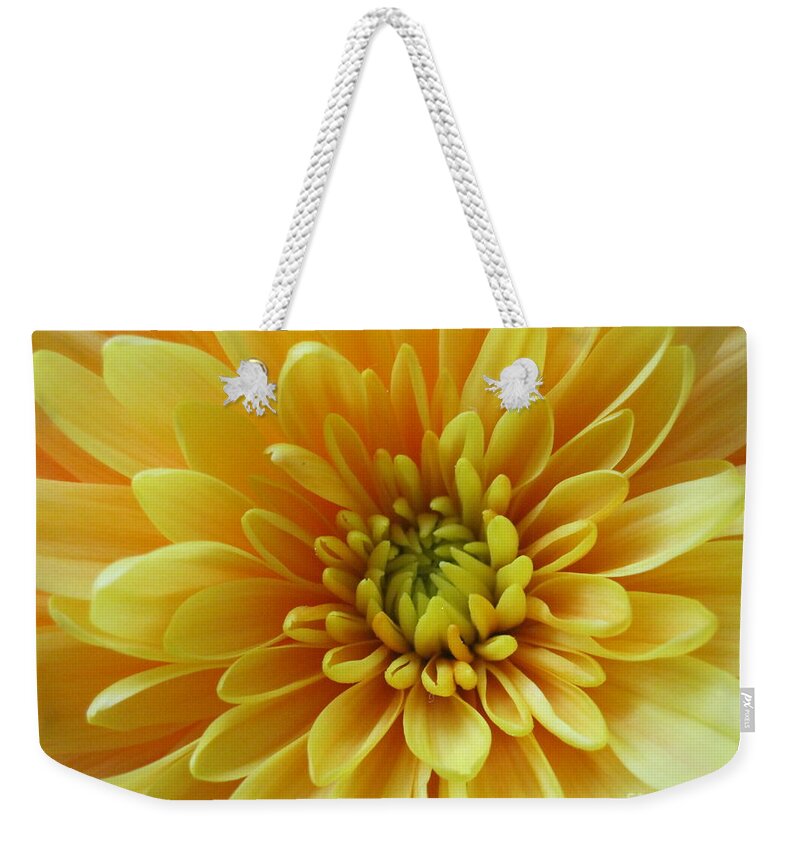 Floral Weekender Tote Bag featuring the photograph Sunburst Dahlia by Tara Shalton
