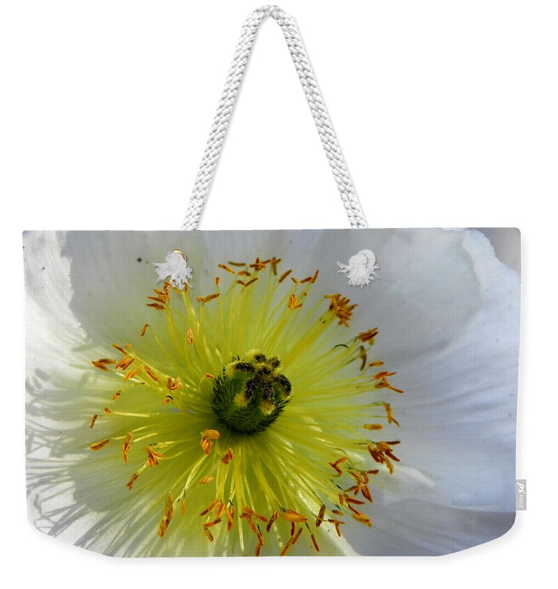 Flower Weekender Tote Bag featuring the photograph Sunburst by Deb Halloran