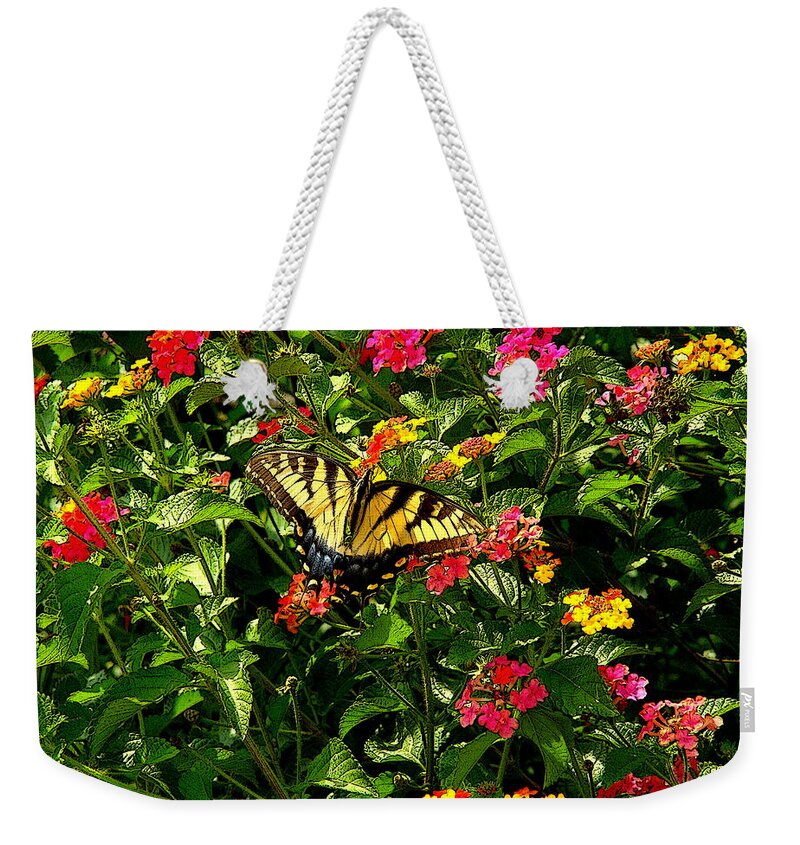 Fine Art Weekender Tote Bag featuring the photograph Suncatcher by Rodney Lee Williams