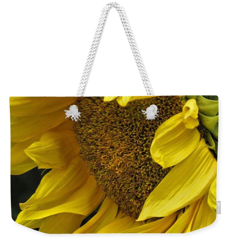 Flower Weekender Tote Bag featuring the photograph Sunflower by Ann Bridges