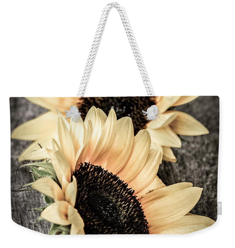 Sunflowers Weekender Tote Bag featuring the photograph Sunflower blossoms by Elena Elisseeva