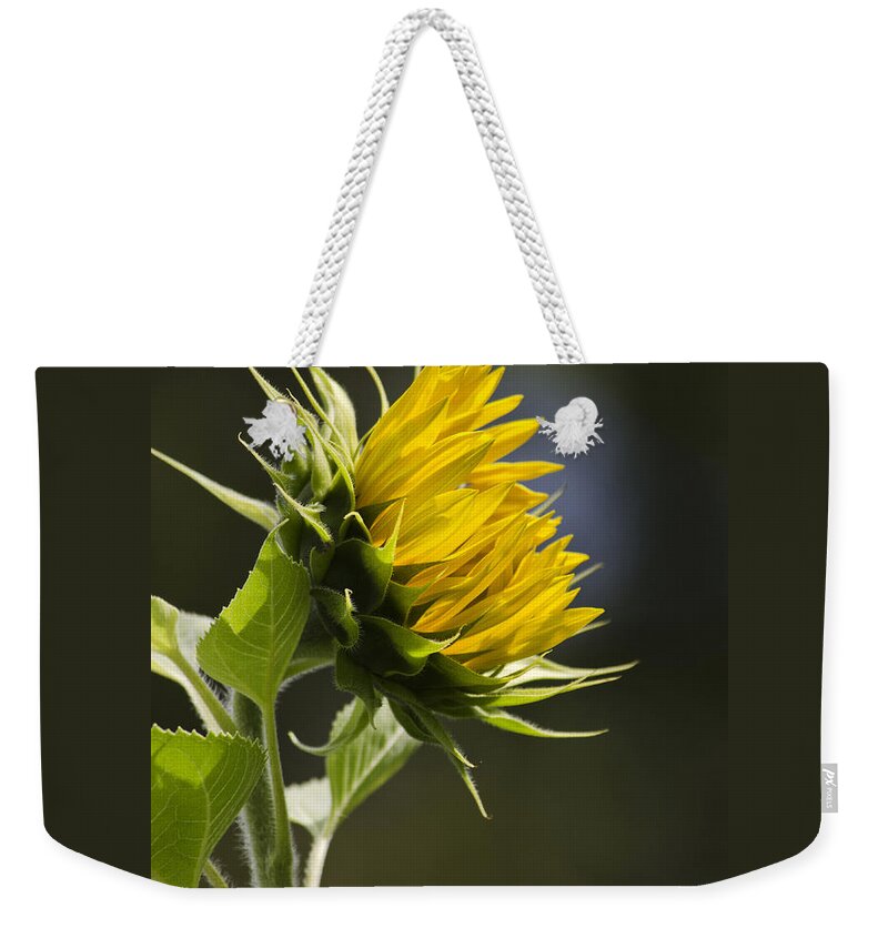 Sunflower Weekender Tote Bag featuring the photograph Sunflower Bright Side by Christina Rollo
