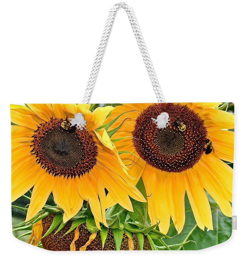 Close Weekender Tote Bag featuring the photograph Sunflower Close Up by Frozen in Time Fine Art Photography