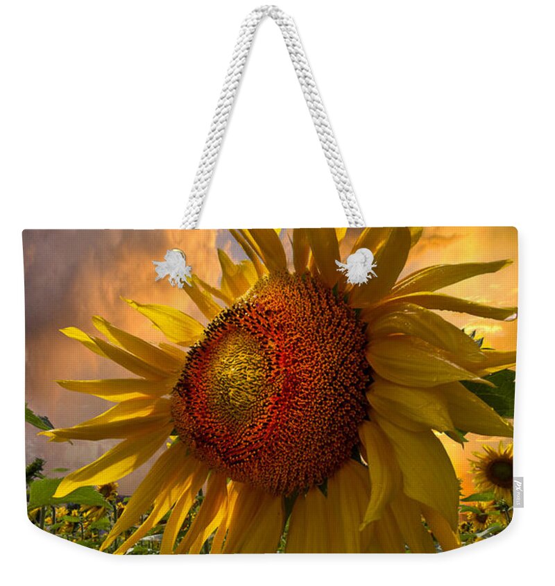 Appalachia Weekender Tote Bag featuring the photograph Sunflower Dawn by Debra and Dave Vanderlaan