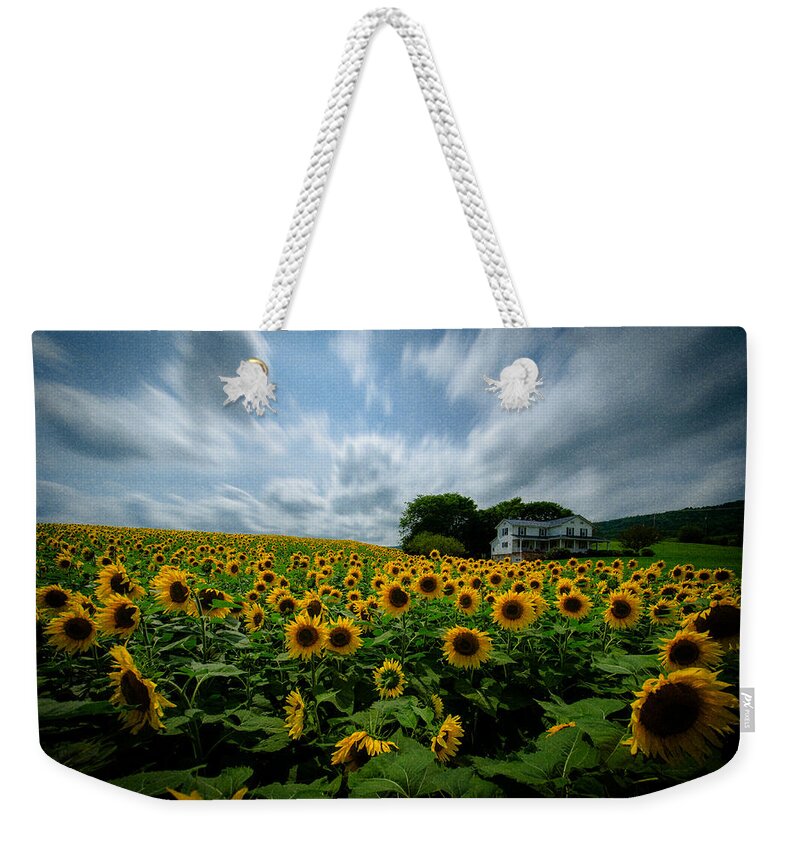 Sunflower Field Weekender Tote Bag featuring the photograph Sunflower field by Crystal Wightman