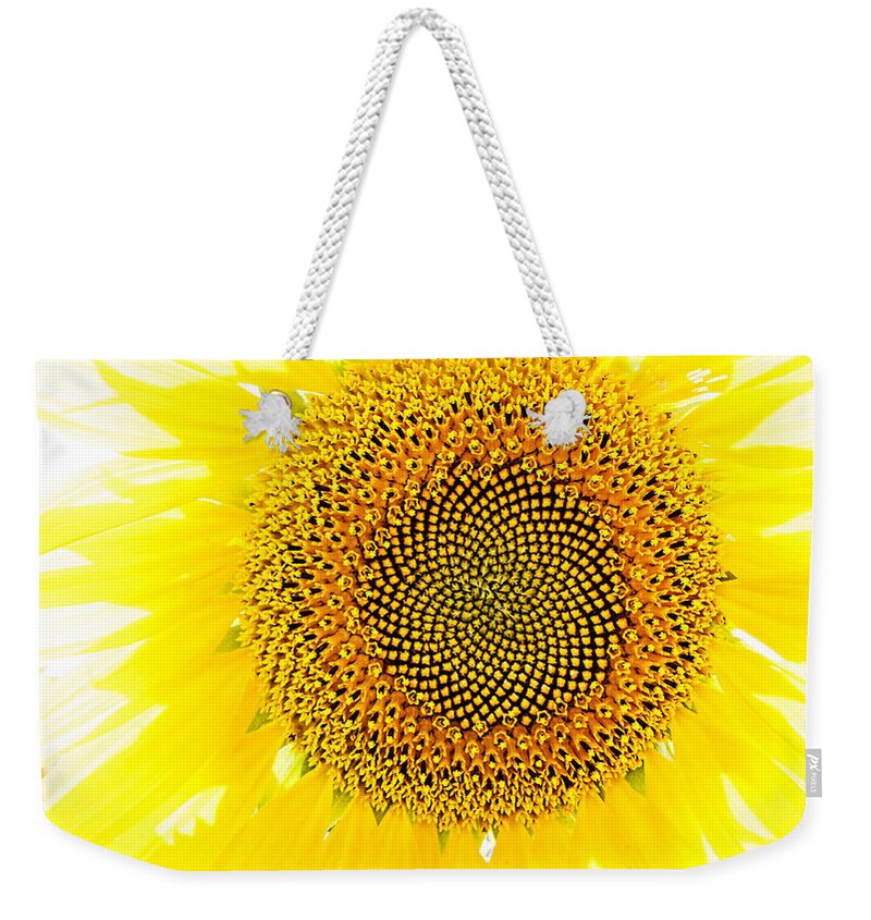 Sunflower Weekender Tote Bag featuring the photograph Sunflower in the Summer Sun by Weston Westmoreland